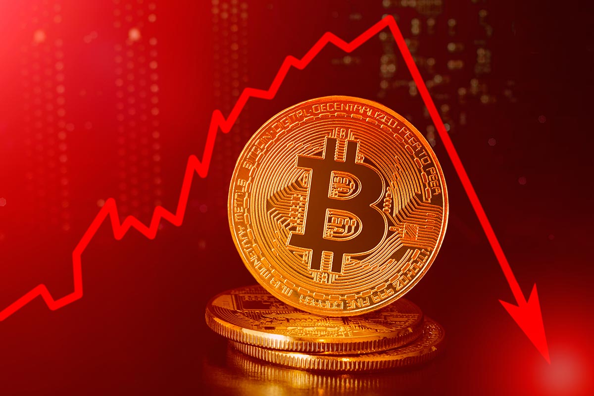 Y bitcoin is falling benefits of early investing